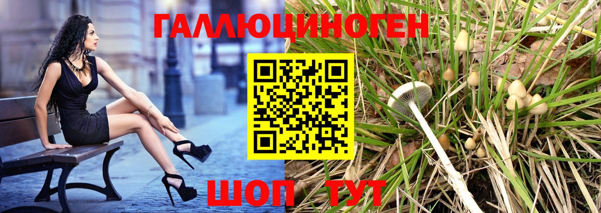 Псилоцибиновые грибы прущие грибы Удомля