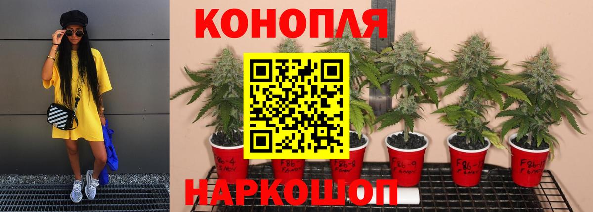 Конопля марихуана Удомля